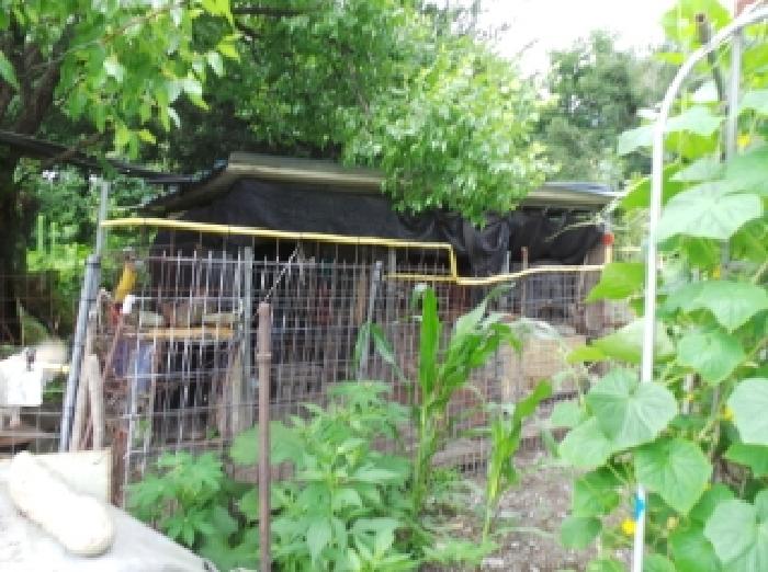 기호 2번 지상에 소재하는 것으로 보이는 제시외 철골조 견사