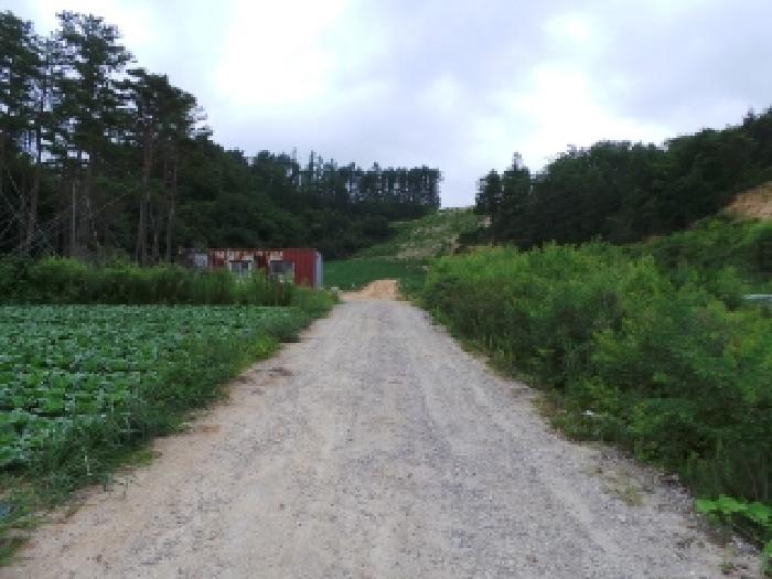 기호 3,10번 근거리에서 촬영한 것임