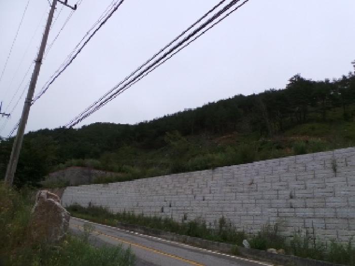 기호 5번 근거리에서 촬영한 것임