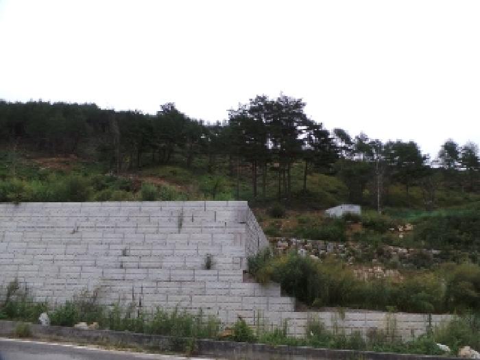 기호 5번 근거리에서 촬영한 것임