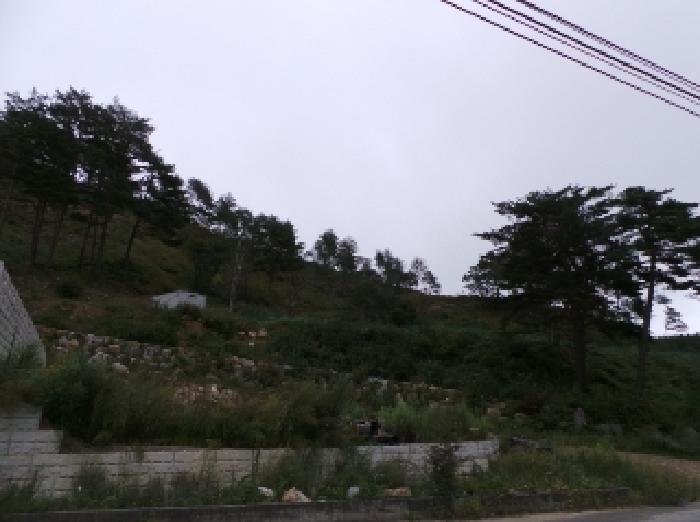 기호 5번 근거리에서 촬영한 것임