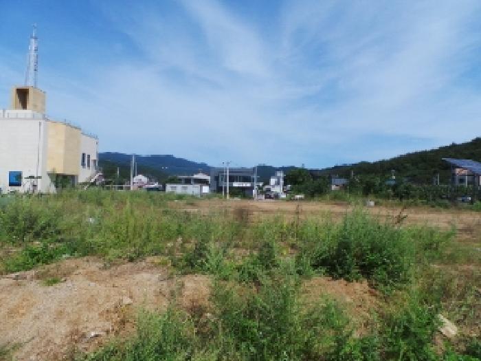 기호 2번 근거리에서 촬영한 것임