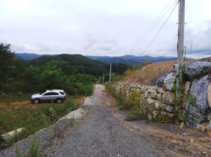 기호 2번 근거리에서 촬영한 것임