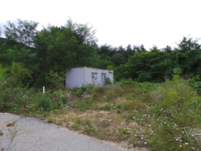 기호 5번 근거리에서 촬영한 것임