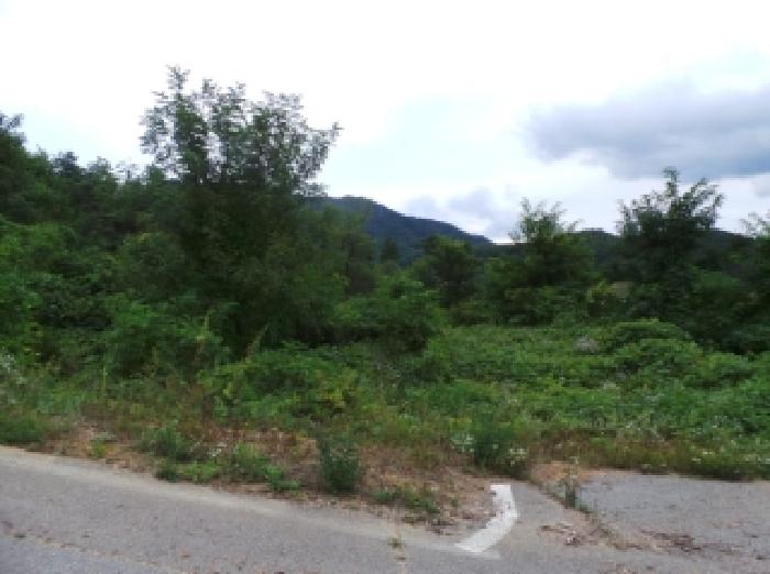 기호 8번 근거리에서 촬영한 것임