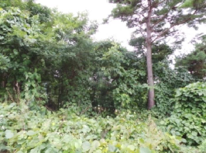 기호 9번 근거리에서 촬영한 것임