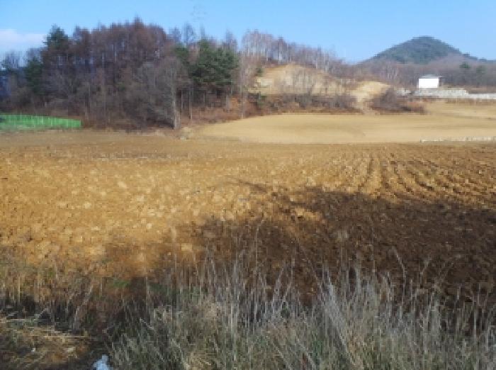 본건 근거리에서 촬영한 것임