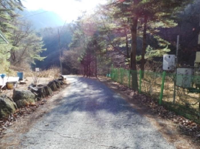 기호 1,2번 근거리에서 촬영한 것임