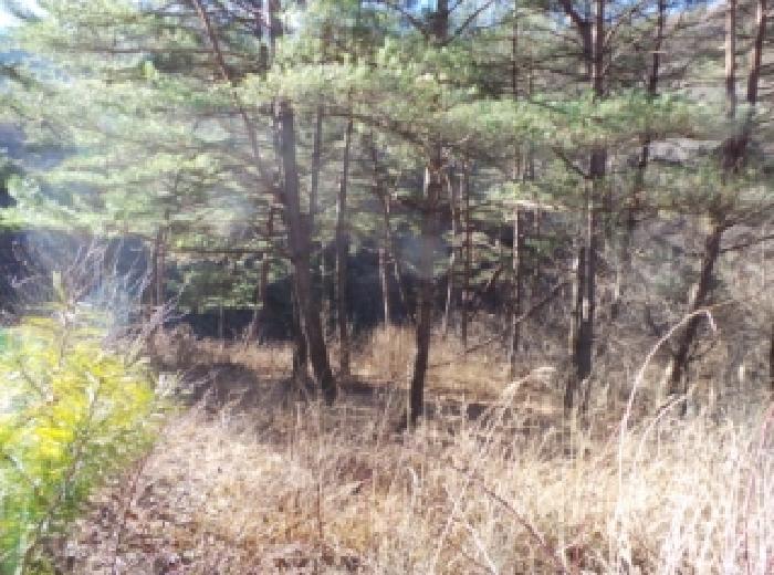 기호 1번 근거리에서 촬영한 것임