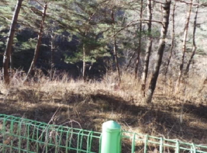 기호 1번 근거리에서 촬영한 것임