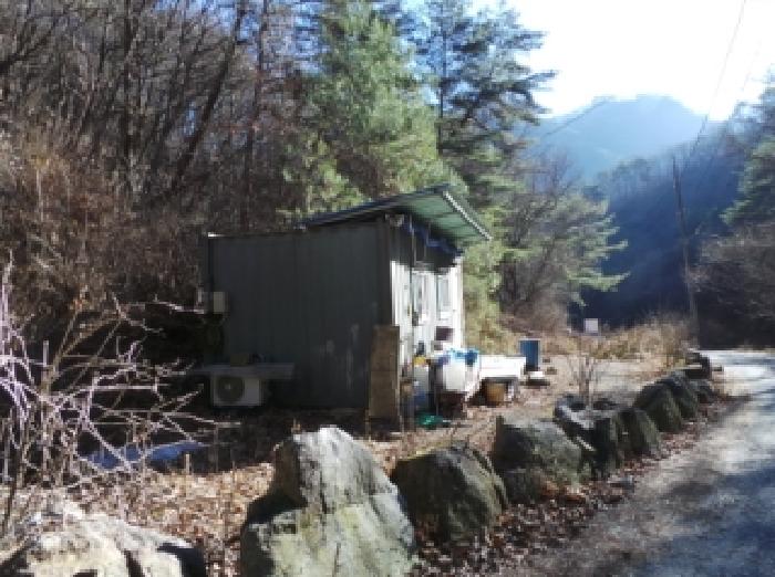 기호 2번 근거리에서 촬영한 것임