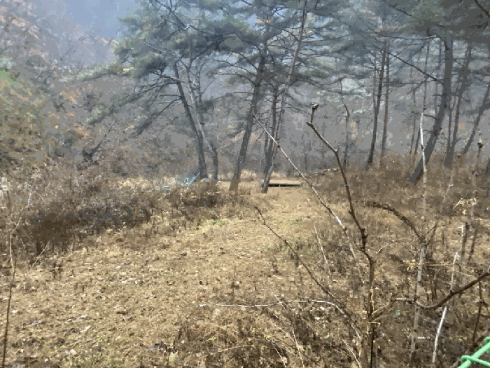 일련번호(1) 내부