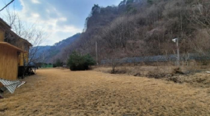 기호 4,5번 근거리에서 촬영한 것임