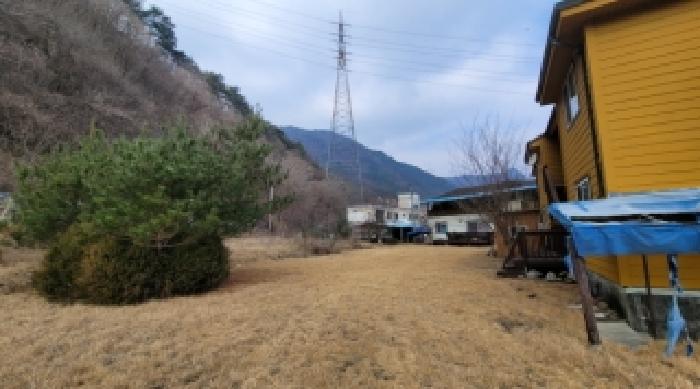 기호 2,4,5번 근거리에서 촬영한 것임
