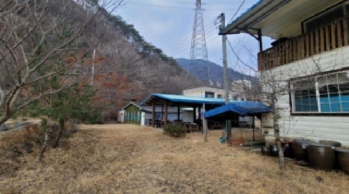 기호 2,9번 근거리에서 촬영한 것임