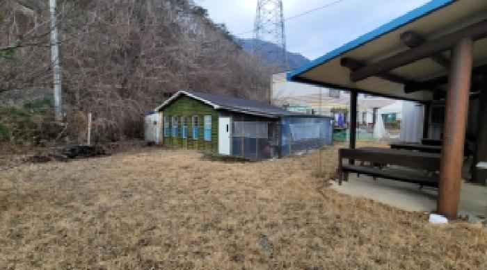 기호 2,9번 근거리에서 촬영한 것임