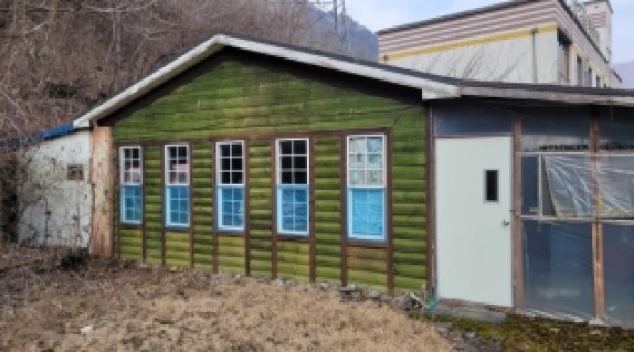 기호 10번 근거리에서 촬영한 것임
