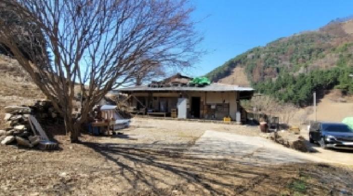기호 1번 근거리에서 촬영한 것임