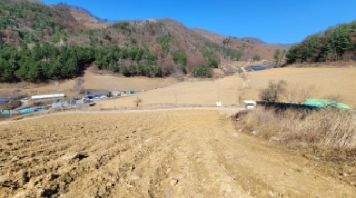 기호 1,3번 근거리에서 촬영한 것임