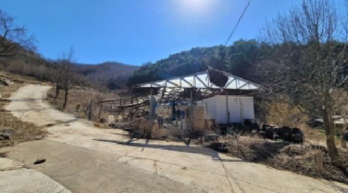 기호 4번 근거리에서 촬영한 것임