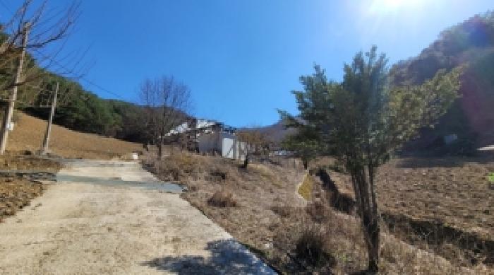 기호 4번 근거리에서 촬영한 것임