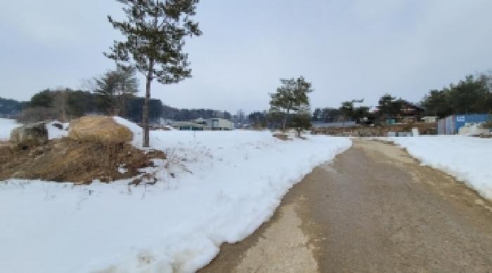 기호 4,6번 근거리에서 촬영한 것임
