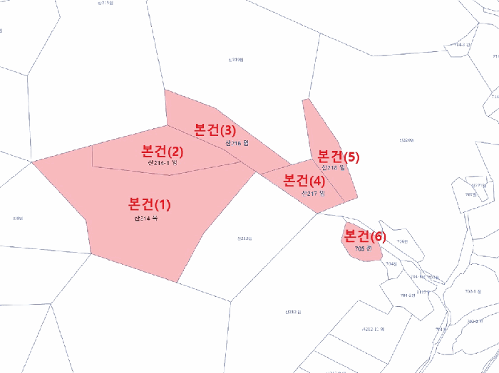 지적 및 건물개황도