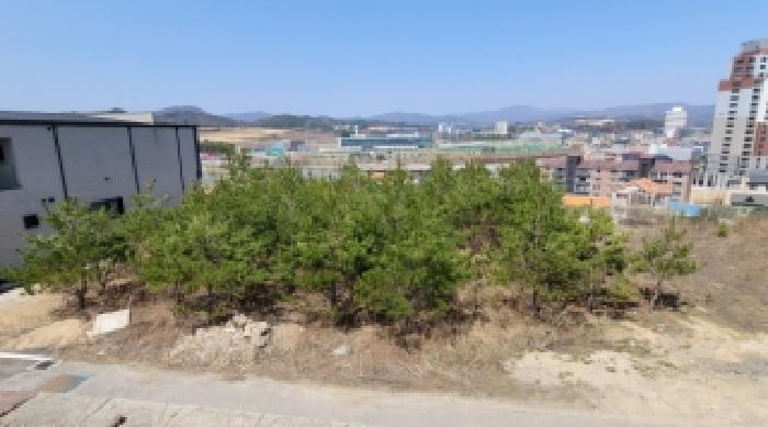 기호 1,7번 근거리에서 촬영한 것임