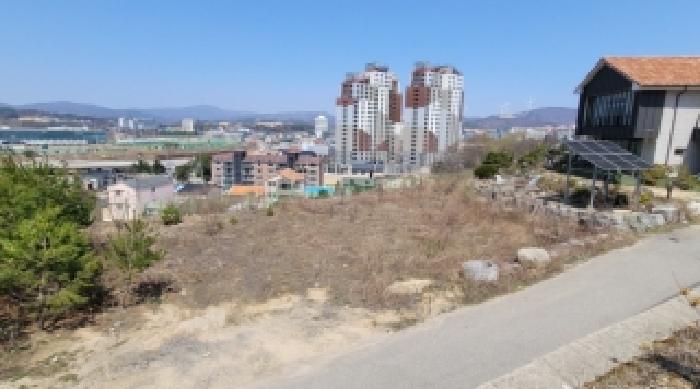 기호 2번 근거리에서 촬영한 것임