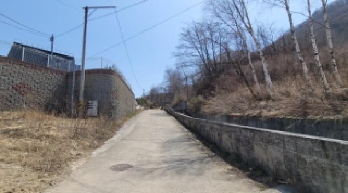 기호 3번 근거리에서 촬영한 것임