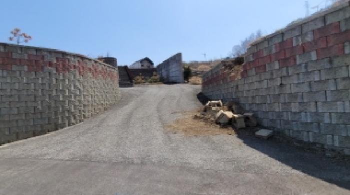 기호 5번 근거리에서 촬영한 것임