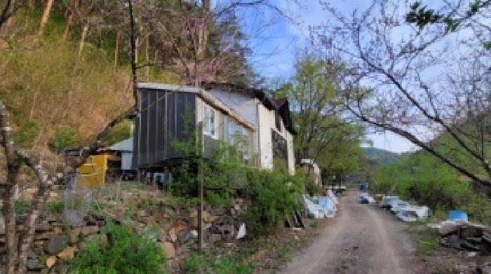 기호 2번 근거리에서 촬영한 것임