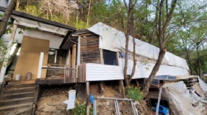 기호 3번 근거리에서 촬영한 것임