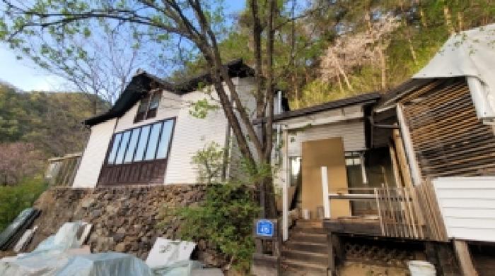 기호 3번 근거리에서 촬영한 것임