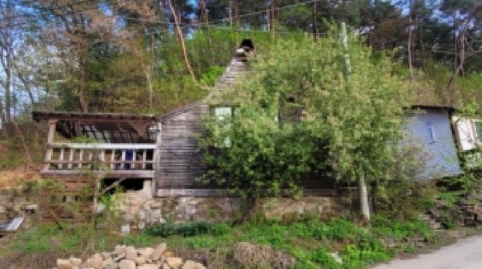 기호 5번 근거리에서 촬영한 것임
