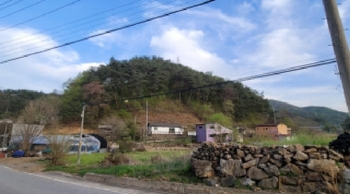 기호 1번 근거리에서 촬영한 것임