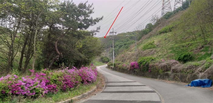 본건 원경