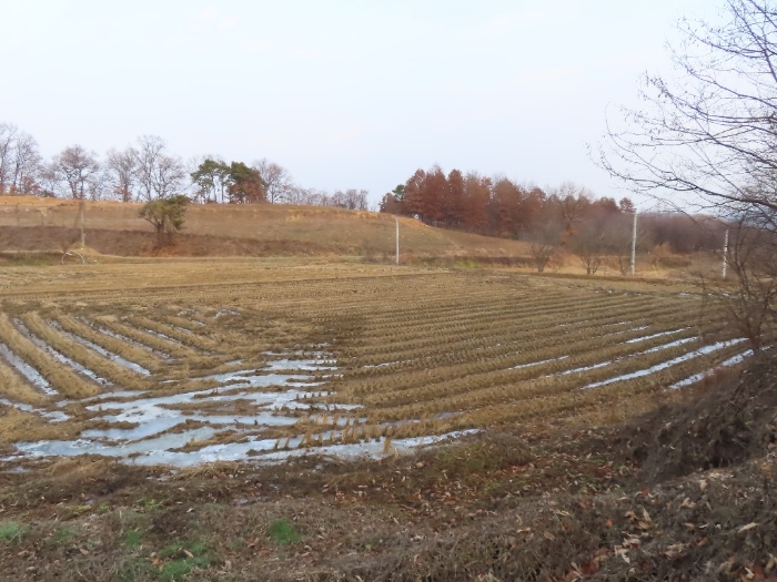 2022타경5560[1]
