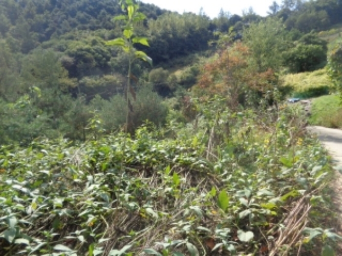 2022타경58045[1]