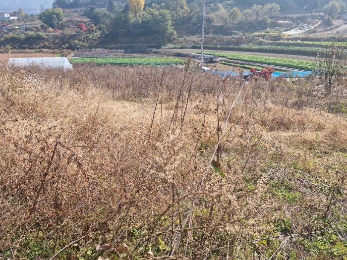 2022타경58045[1]