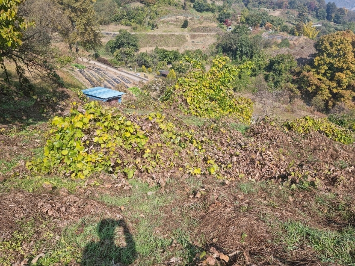 2022타경58045[1]