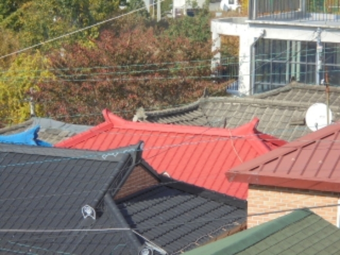 본건