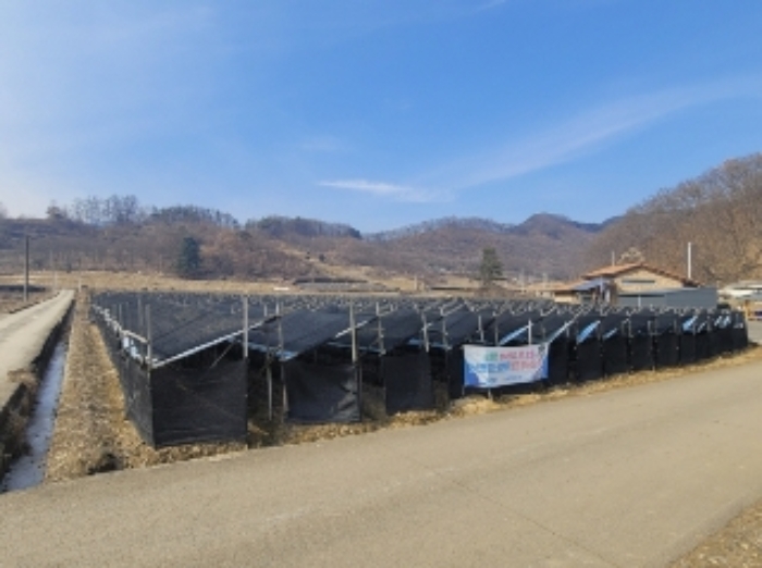2023타경500[8]
