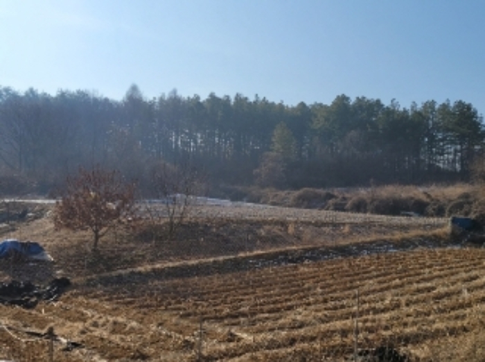 2023타경500[8]