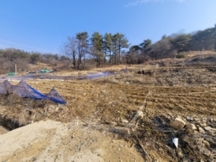2023타경500[8]
