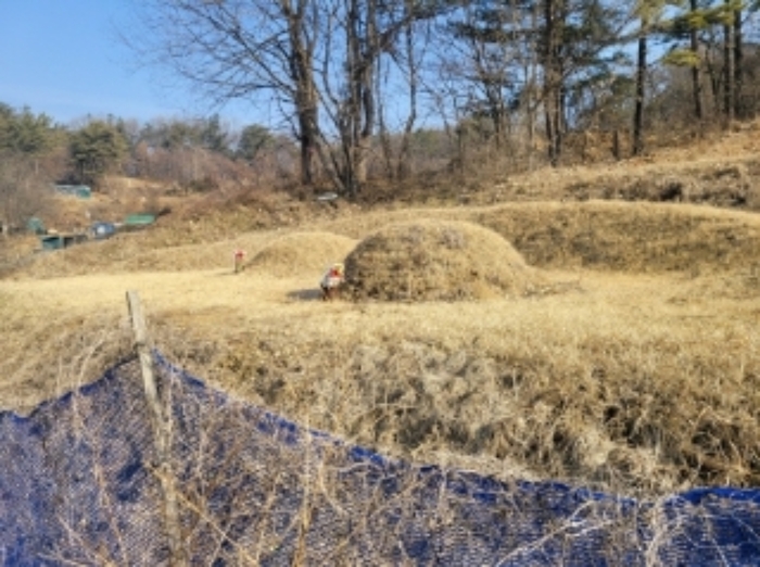 2023타경500[8]