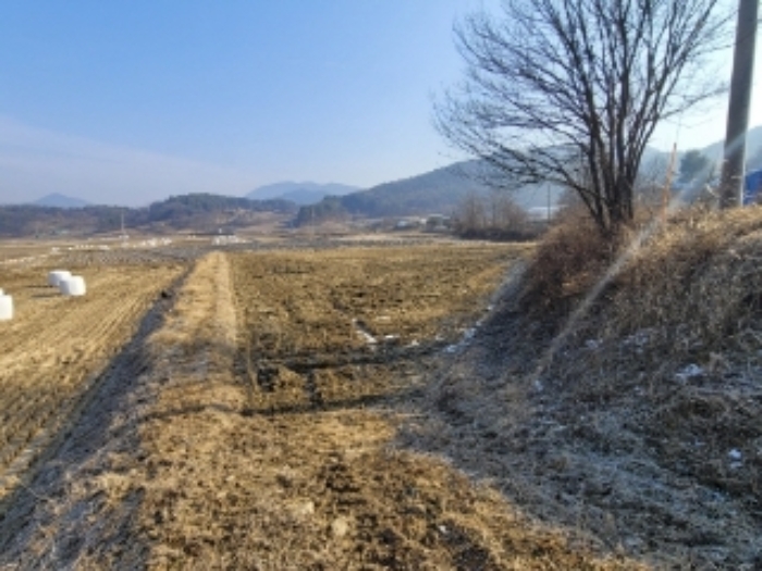 2023타경500[8]