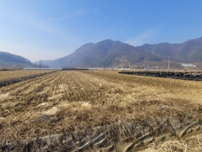 2023타경500[8]