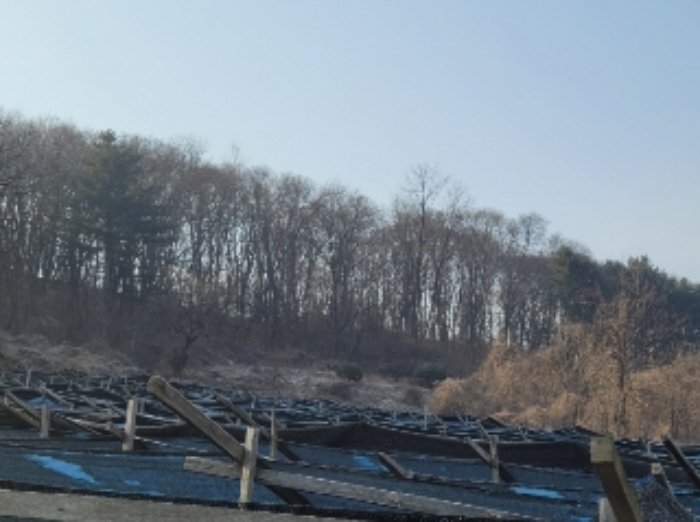 2023타경500[8]