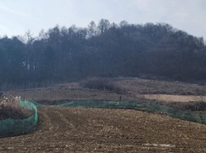 2023타경500[8]